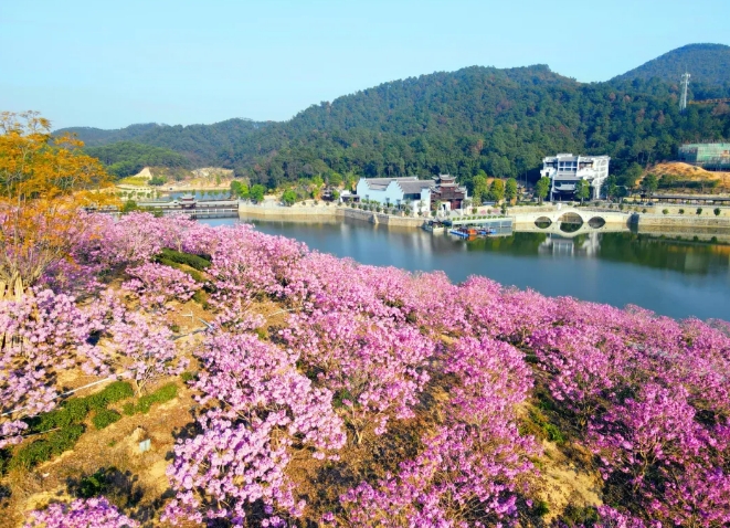 鴻業(yè)集團(tuán)鴻園花海歡迎您！